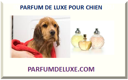 PARFUM DE LUXE POUR CHIEN 2024